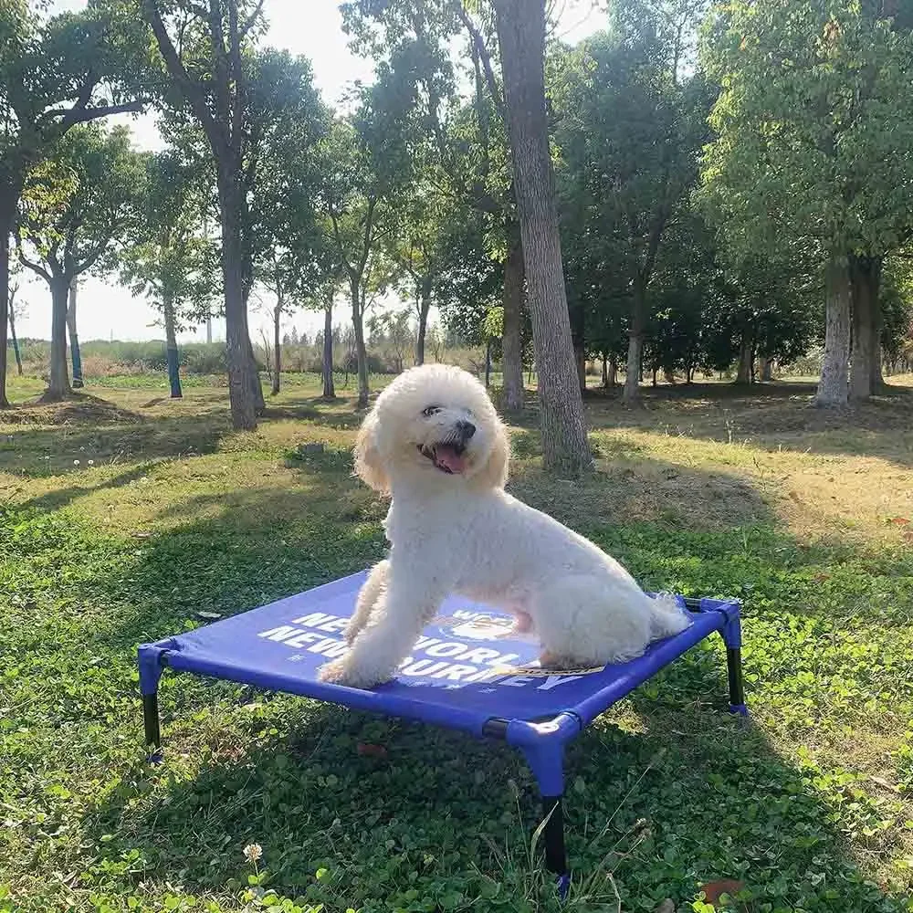 FULED Portable Outdoor Elevate - Outdoor Camping Dog Bed ulasan dan harga