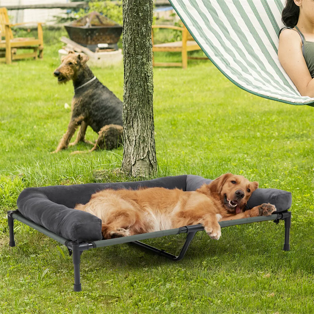 BINGOPAW Outdoor Dog Bed Eleva - Outdoor Camping Dog Bed ulasan dan harga