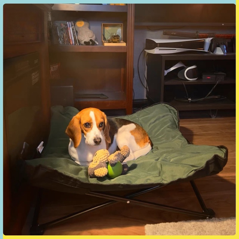 Portable Folding Pet Bed Outdo - Outdoor Camping Dog Bed ulasan dan harga