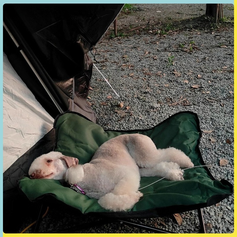 Portable Folding Pet Bed Outdo - Outdoor Camping Dog Bed ulasan dan harga