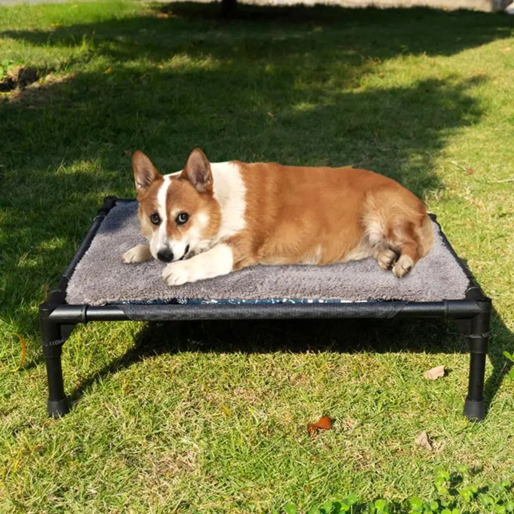 Outdoor Elevated Dog Bed, Fold - Outdoor Camping Dog Bed ulasan dan harga